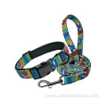 Dog Collars and Leashes Custom Strong Printed Nylon